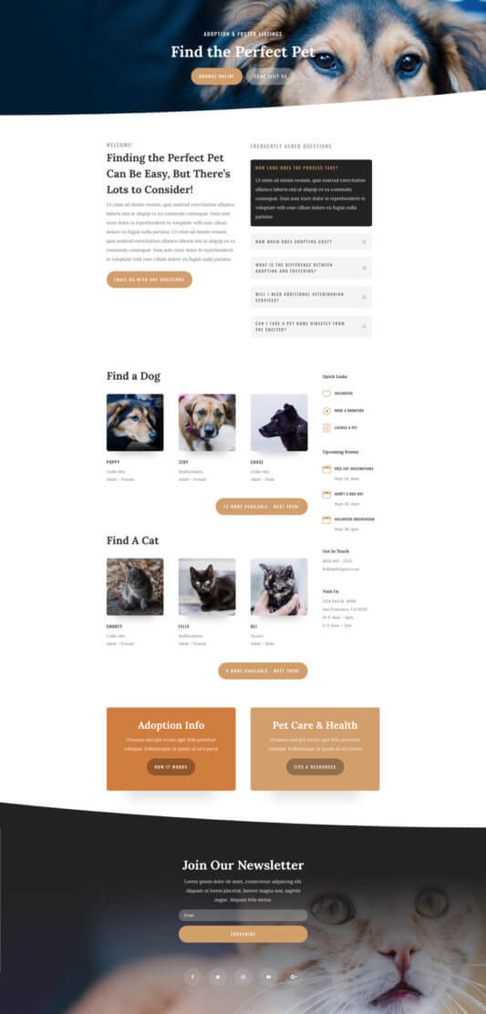 Plantilla WordPress para Refugios de animales