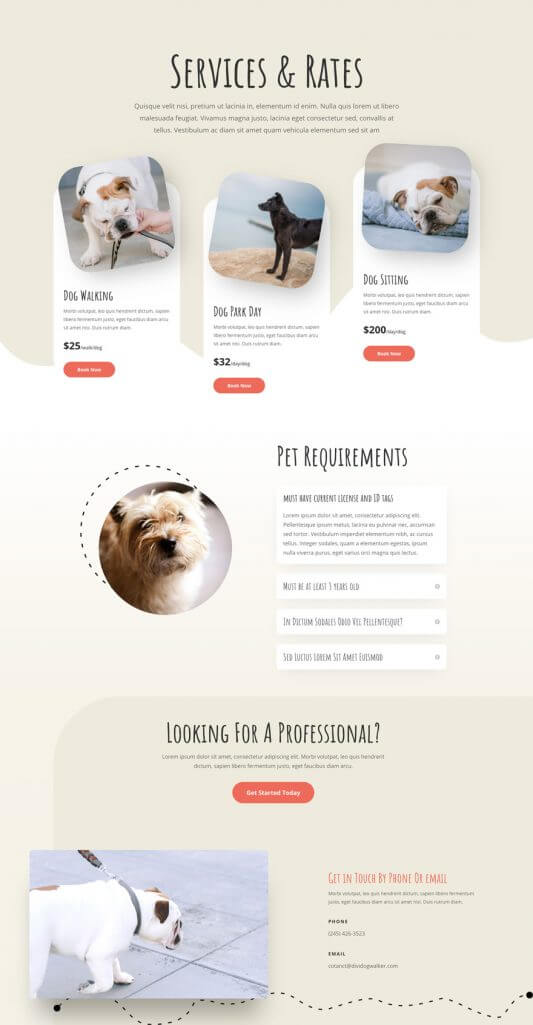 Plantilla WordPress para Paseadores de perros Plantilla WordPress para Paseadores de perros
